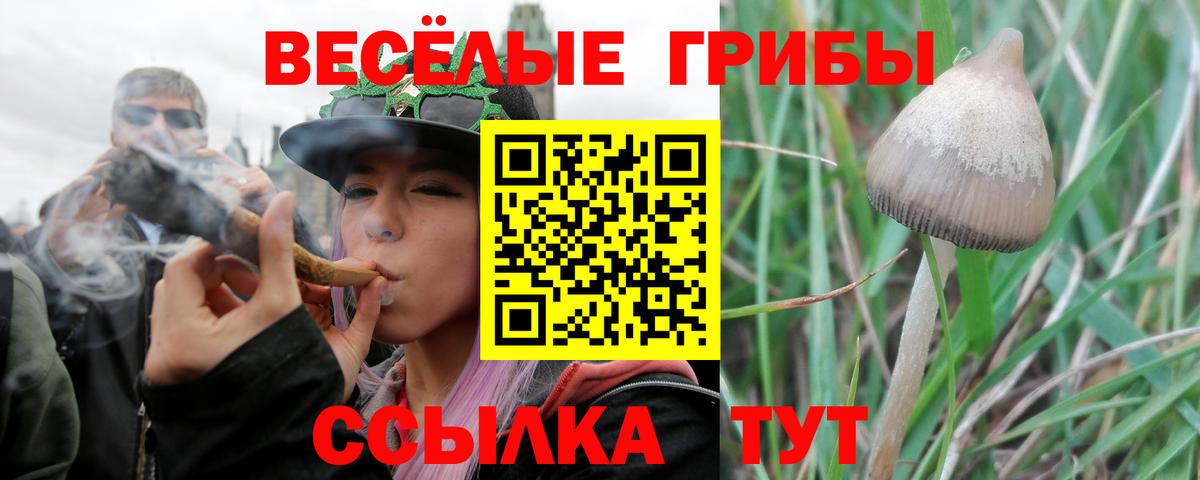 Псилоцибиновые грибы Magic Shrooms Фрязино