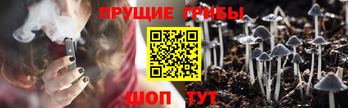 Галлюциногенные грибы мицелий  где найти   Фрязино  Вход с VPN 